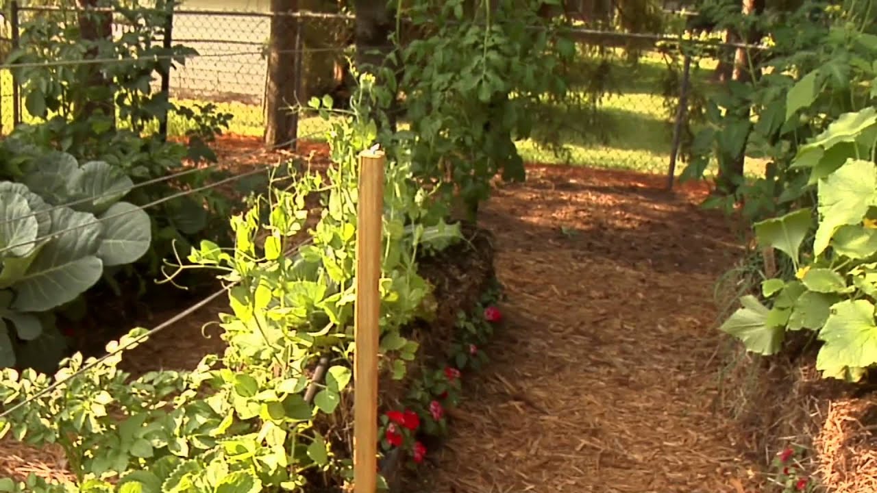 Living Smarter Testimonial - Joel Karsten