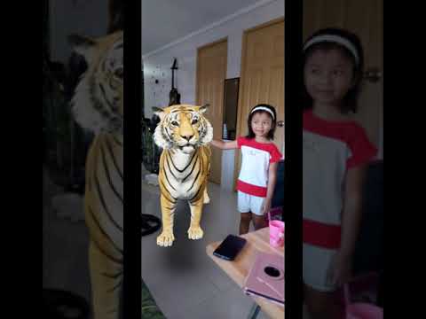 Video: Fire Uncovers Tigers In Philippine House