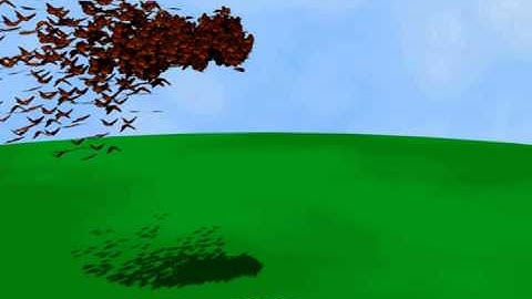 Blender 2.49b Woman to Boids