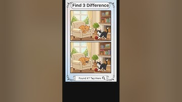 LIVE Puzzle Hunt: Can YOU Spot All 3 Differences? 😱