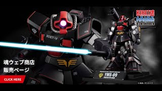 THE ROBOT Spirits ＜SIDE MS＞ YMS-09 Prototype Dom ver. A.N.I.M.E.