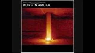 Watch Bugs In Amber Passenger Ghost video