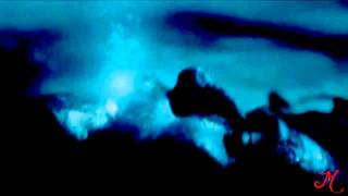 ►Harry Potter - Rolling In The Deep