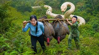 72 Hours Survival: Giant Albino Python Ambushes Villagers Hunting A 40KG Turkey In The Forest!
