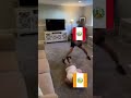 pelea de Perú naranja vs Perú rojo 🇵🇪 #memes