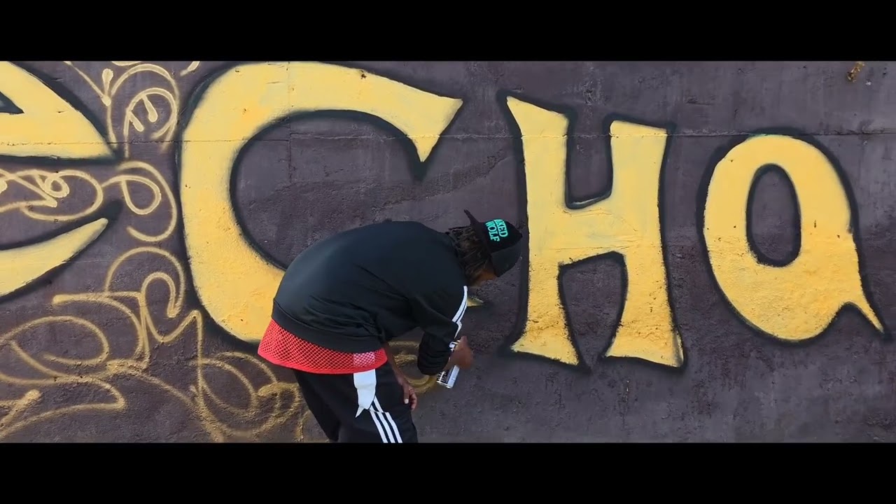 Hora-Harsade Ring Road project and Bishoftu Asphalt Road Project 