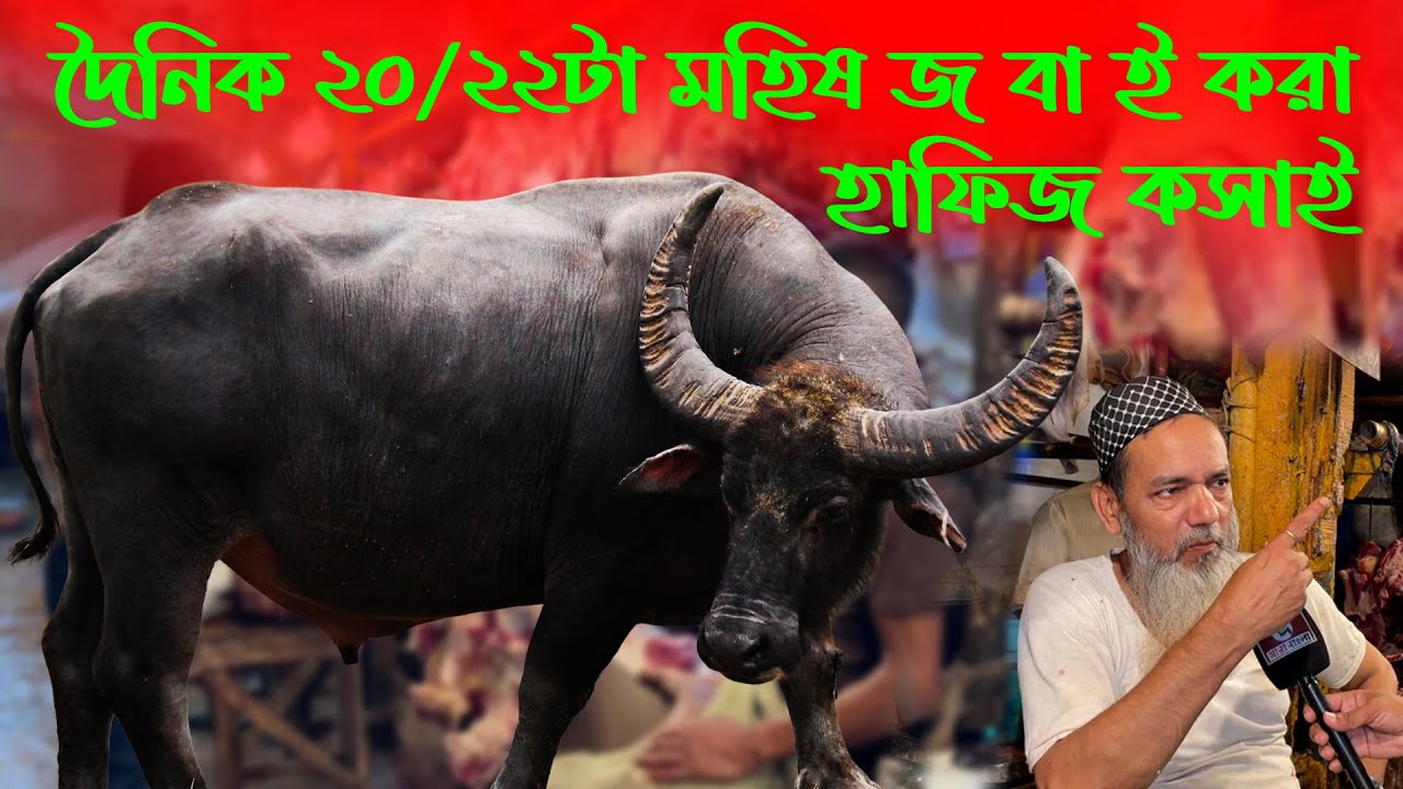 দৈনিক ২০/২২টা মহিষ জ*বাই করা কসাই হাফিজের মাংসের দোকানের এখন কি অবস্থা 