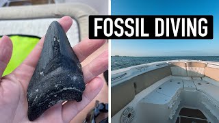 Diving for shark teeth in Venice, Florida