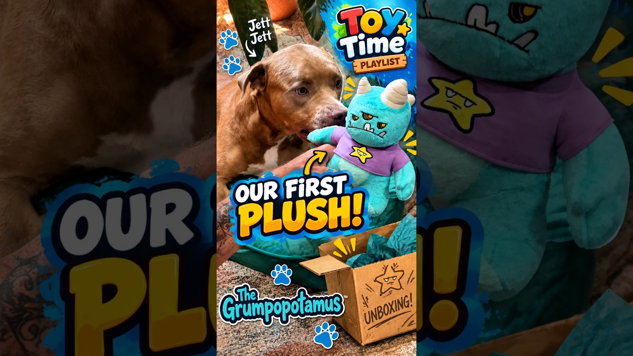 We Unboxed a VERY Grumpy Surprise… and Our Dog Loved It! 😂 #toys #funnydogs