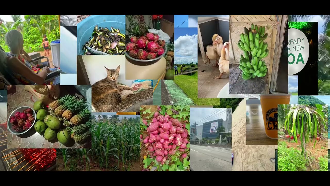 Philippines, the Beauty Through My Eyes