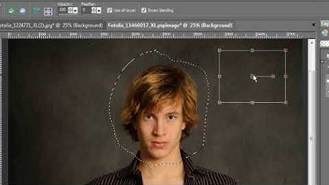 Paint Shop Pro Basics 27) Tools - Object Remover