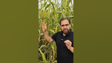 🔴NEW NEET SYLLABUS - NTA ADDED NEW FAMILY #neetsyllabus #ytshortsfeature #shortsfeed #ytshorts