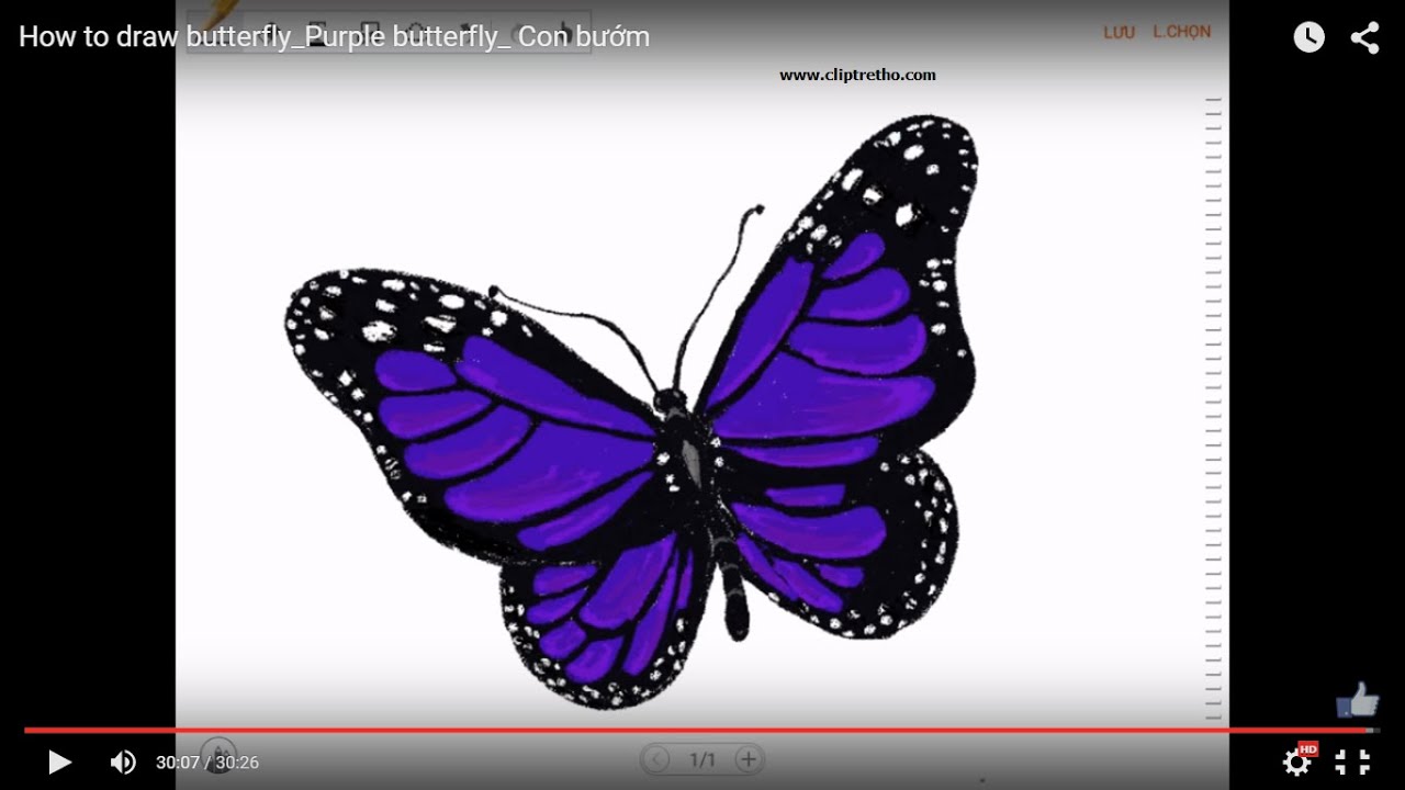 3 cách vẽ bướm xinh dễ thương  Sáng tạo  Việt Giải Trí