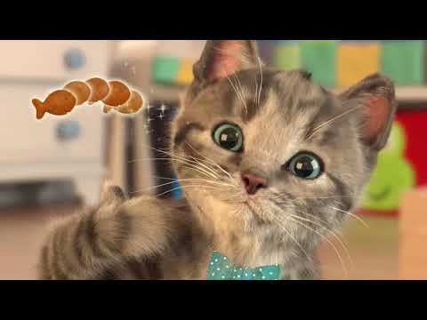 Play Fun Pet Care Kids Game - Little Kitten My Favorite Cat - Fun Cute Kitten Game