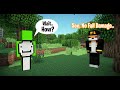 Fundy Found GLITCH on Dream SMP !! (No Fall Damage)