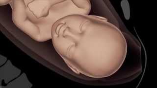 CHILD BIRTH فيلم قصير عن الحمل