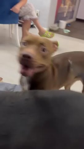 youtube.com