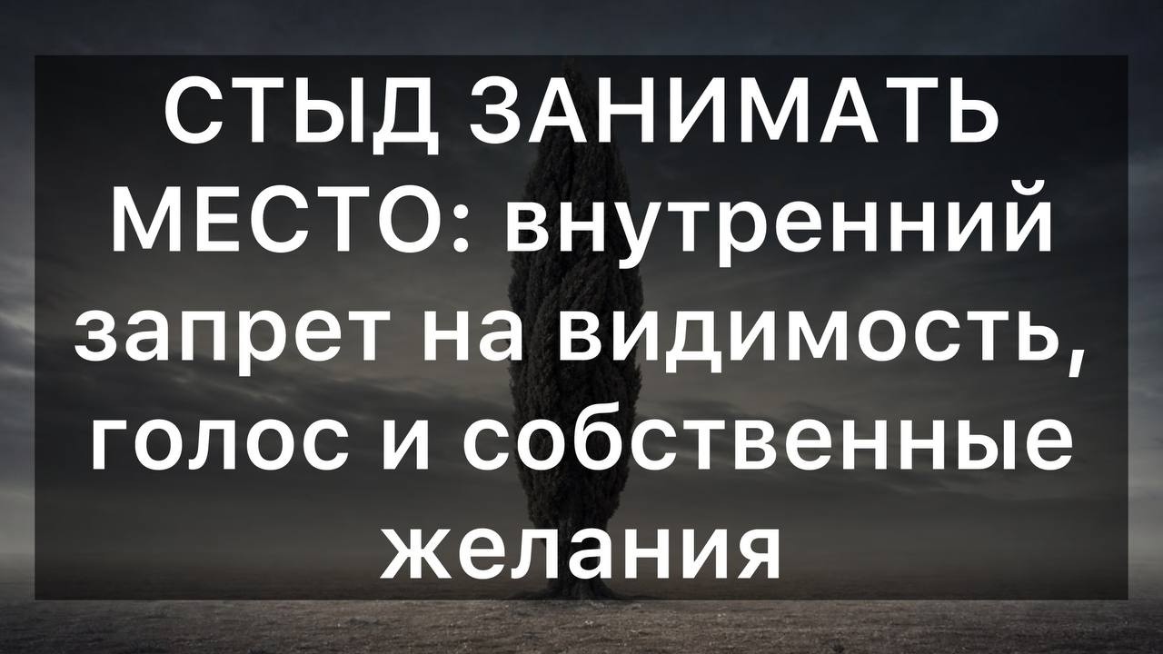 СТЫД ЗАНИМАТЬ МЕСТО: внутренний запрет на видимость, го… — Transcript