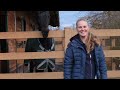 Traum-Praktikum bei Jessica von Bredow-Werndl & Benjamin Werndl 🤩✨ Veronikas Alltag in Aubenhausen 🐴