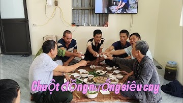 Nay mấy anh em bắt được ít chuột đồng nướng siêu cay mời cả nhà nhé #vantruongtv_1981 