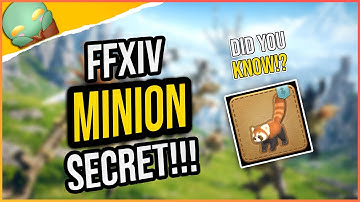 FFXIV Minion Secret