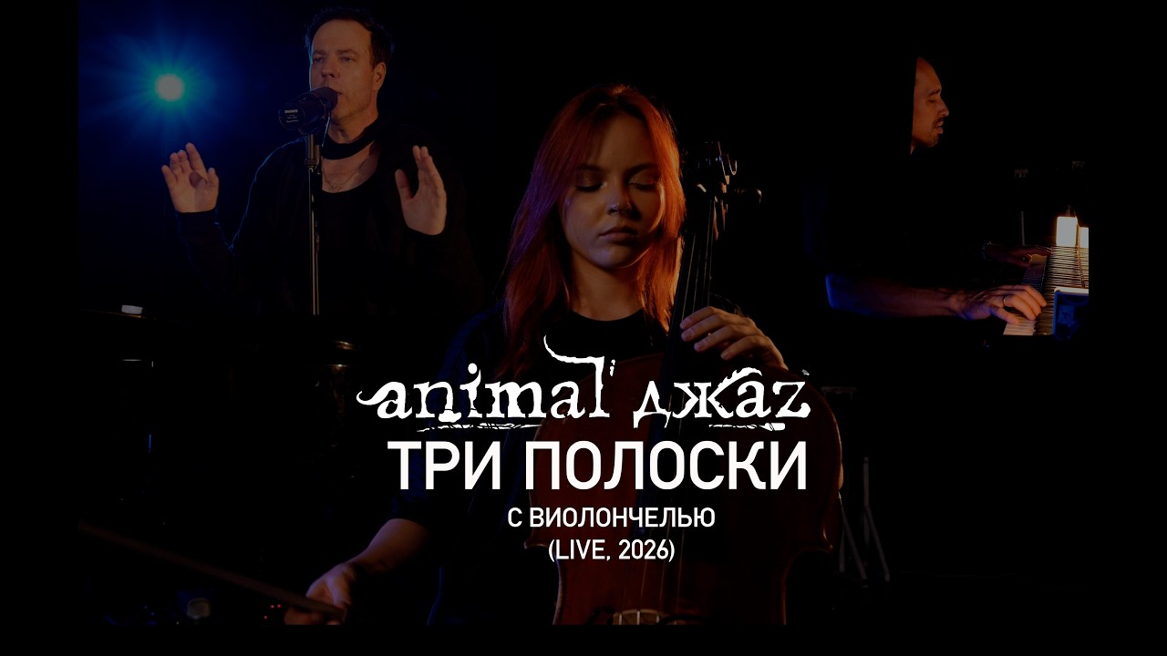 Animal ДжаZ — Три полоски с виолончелью (Live, 2026)