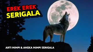 2D 3D 4D WOLF DREAMING & MEANING OF DREAMS ABOUT WOLF