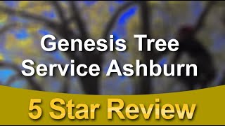 Genesis Tree Service Ashburn 5 Star Review for Ashburn Tree Removal