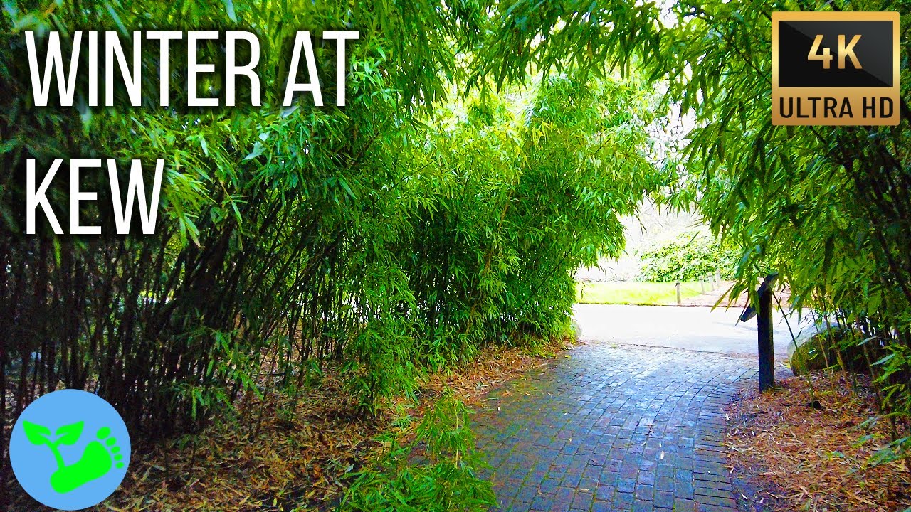 Watch Kew Gardens during the day