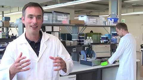 New device delivers single cells in just one click