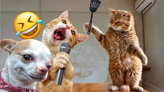 Funniest Cats And Dogs Videos😍- Best Funny Animal Videos 2024😼Part  14