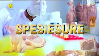 Download Lagu Inovasi SpesieSure BPMSPH Kementan - KIPP 2025 MP3