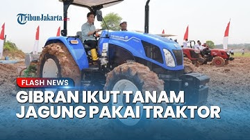 Gibran Turun ke Sawah! Wapres Tanam Jagung Pakai Traktor di Tangerang Dukung Ketahanan Pangan
