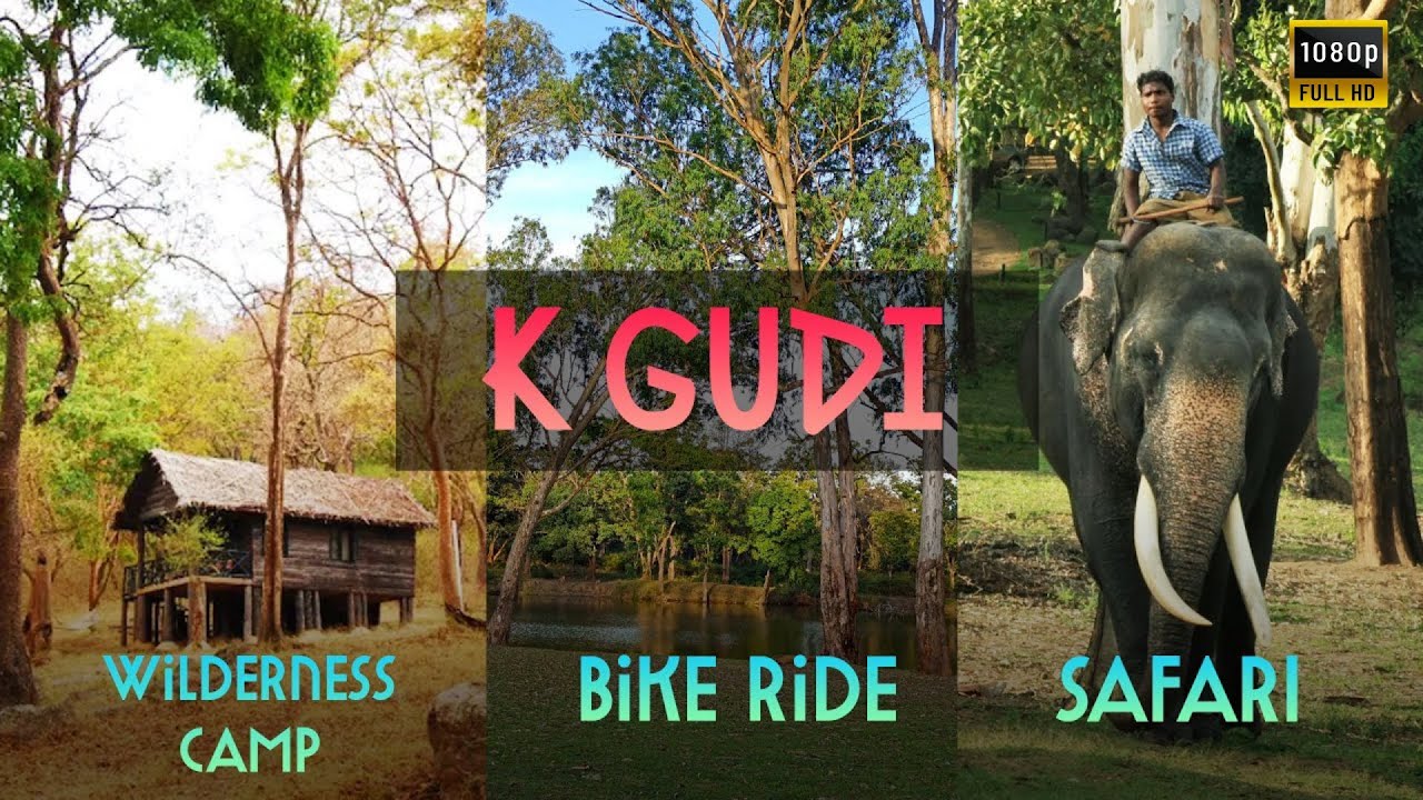 k gudi forest safari