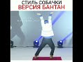 BTS Стиль Собачки Потап и Настя РЖАААКАА