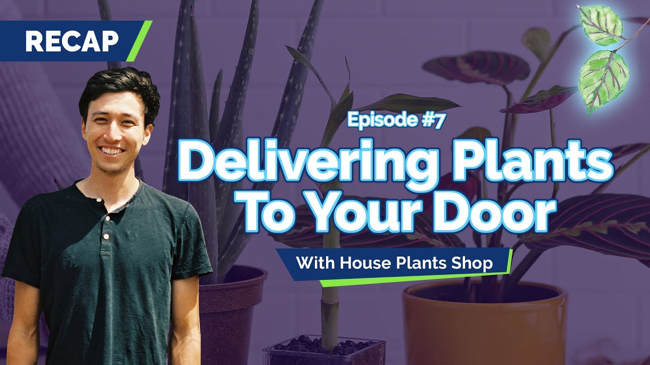 PlantX Vodcast Recap Episode 7 Sean Welcomes CEO of House Plant Shop, Andy Burde
