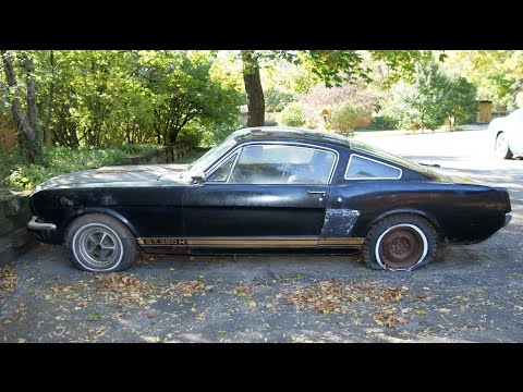 The "Barn Find" 1966 Shelby GT350H Mustang sitting for decades - The Auto Archaeologist