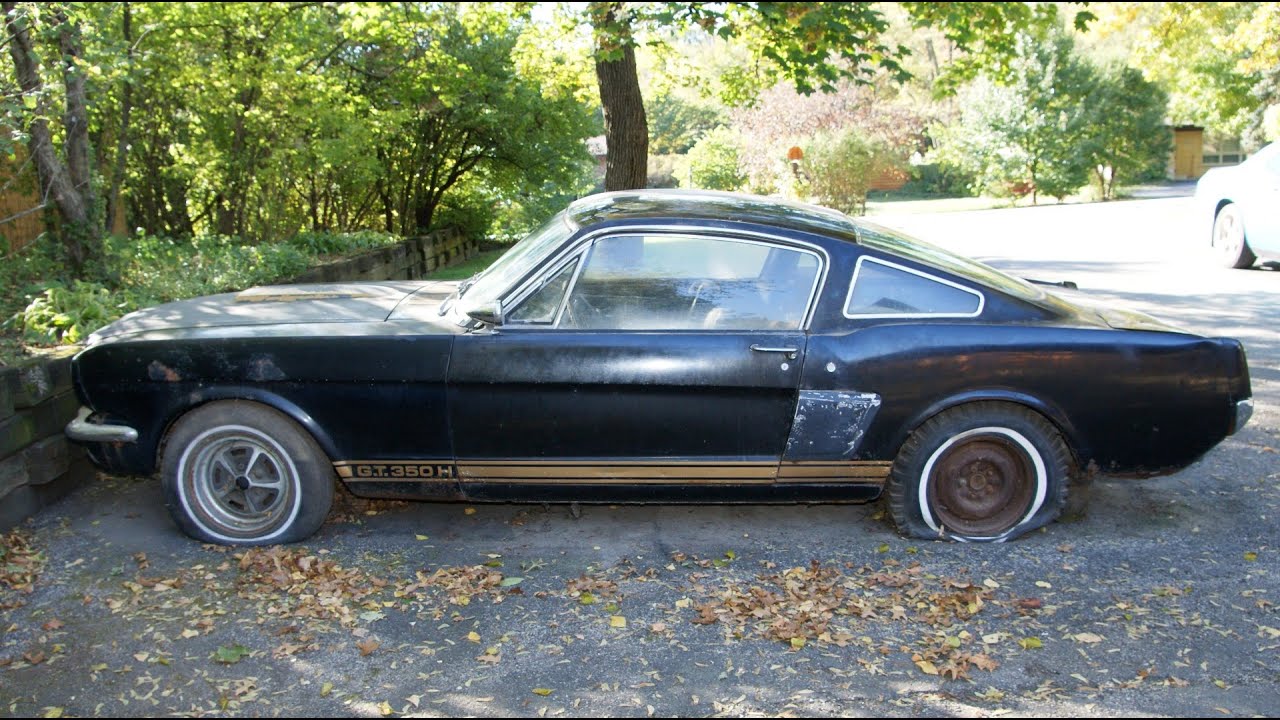 Shelby Mustang Barn Find