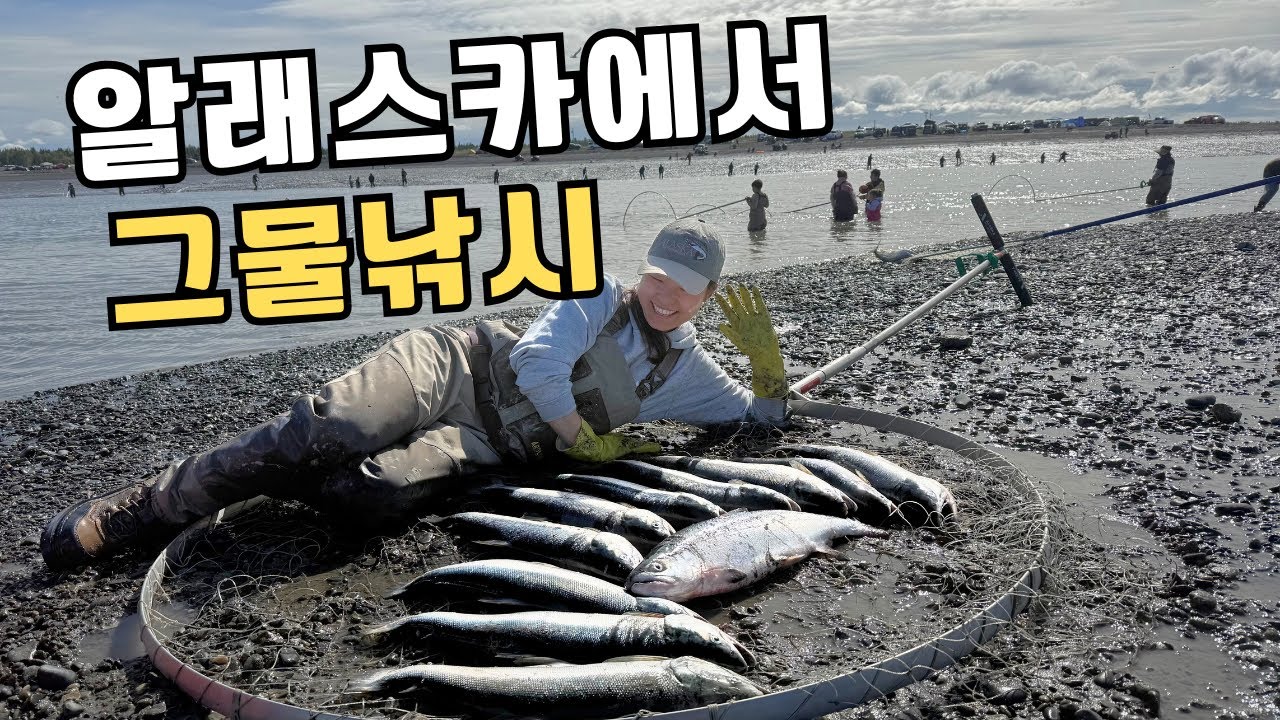 이보다 쉬울 순 없다! 낚시대 없이도 연어들을 퍼담는 알래스카만의 독특한 낚시법. 카실로프에서의 딥 네팅