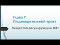 Физиология. Глава 7. Пищеварительный тракт. Вещества регулирующие ЖКТ