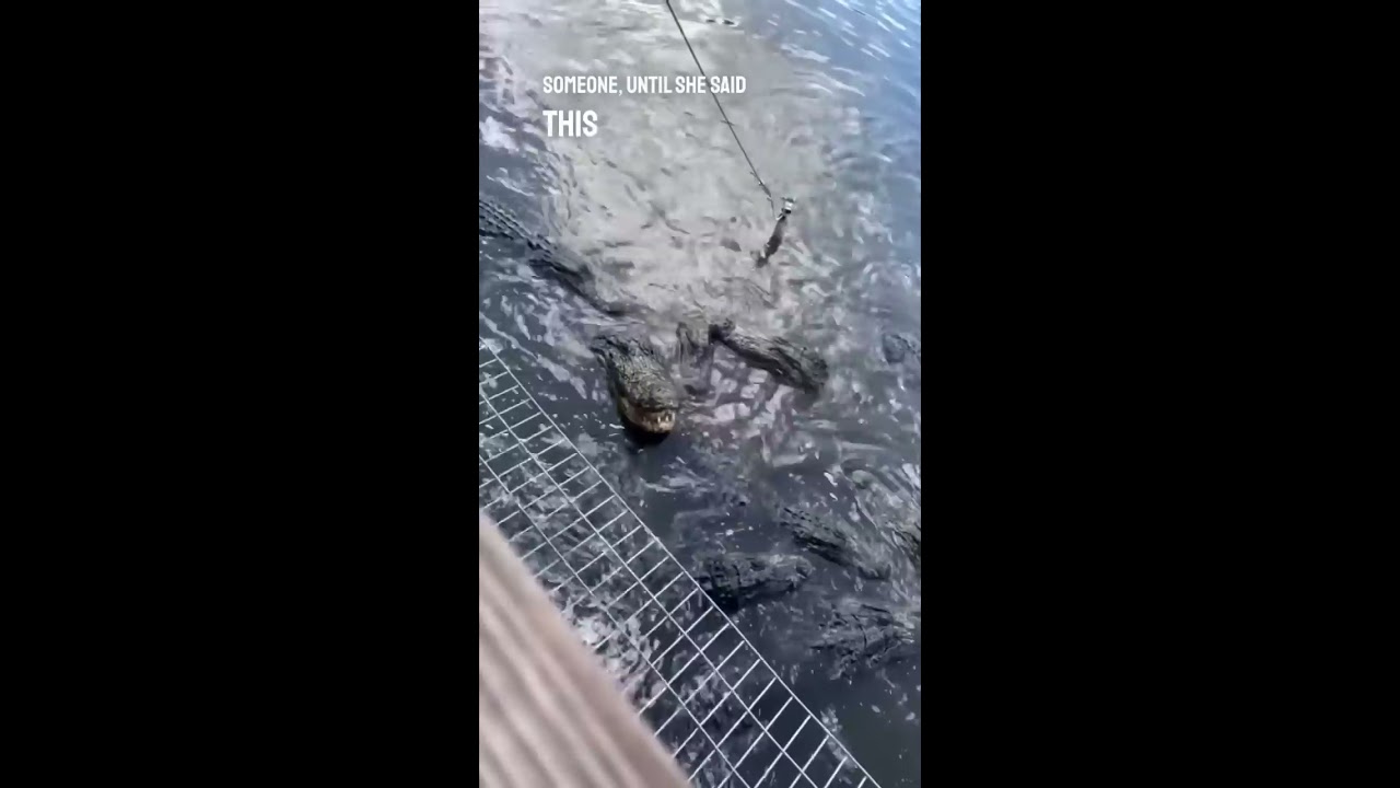 These Alligators Reacted To A Girl Calling Them Big 