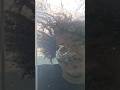 水中で息をする方法