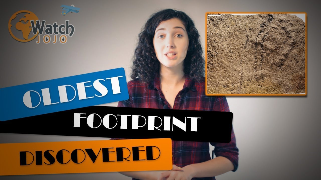 The Oldest Animal Footprint Was Just Discovered