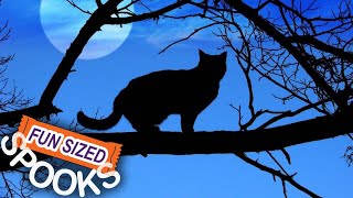 Cats: A Spooky History