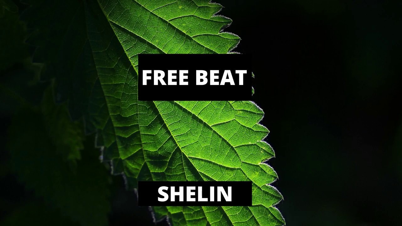 Everlasting - Calvin Hariss x Zedd  EDM Type beat