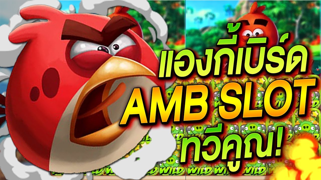 AMB SLOT สล็อตแองกี้เบิร์ด Angry Win เกมใหม่ที่เล่นแตกง่าย ทุนเบท20 ปั่นได้คูณไหลต่อเนื่องไม่หยุด