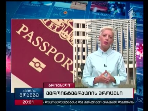 რა დრო და პროცედურებია დარჩენილი ვიზალიბერალიზაციამდე