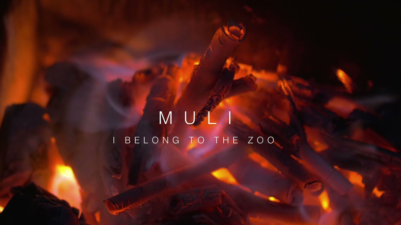 YouTube에서 I Belong to the Zoo - Muli (Live Acoustic Session) 보기 YouTube에서 I Belong to the Zoo - Muli (Live Acoustic Session) 보기