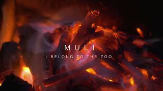 I Belong to the Zoo - Muli (Live Acoustic Session)