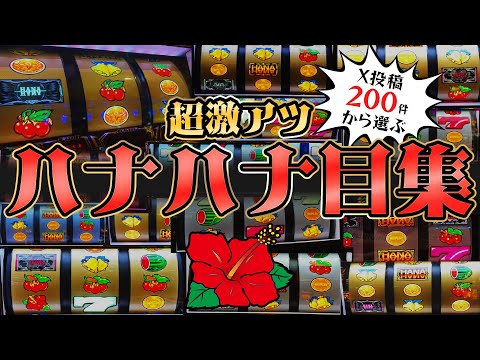 ドラゴンハナハナ　リーチ目 ハナハナシリーズのリーチ目について ／ 一条アツヤ